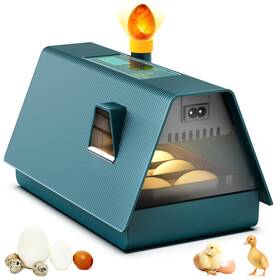 Apodess 683404115619 Incubator For Hatching Chicks 10 Eggs Incubators With Automatic Egg Turning