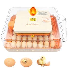 Apodess 683404358047 56 Egg Incubator For Hatching Chicken With Automatic Turni