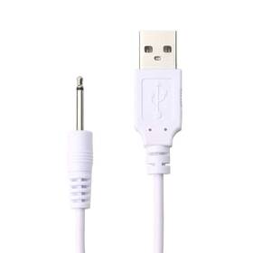 Ava 810032087265 Massager Replacement Dc Charging Cable - Usb Charger Cord 2.5mm White