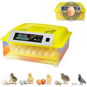 Ry-001 Beechip Egg Incubator For Hatching Eggs Automatic Turner And Digital Humidity Cont