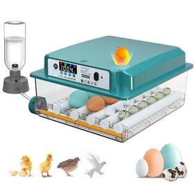 Llj-016ll Chalixion Incubators For Hatching 16 Eggs Egg Incubator With Automatic Turning And