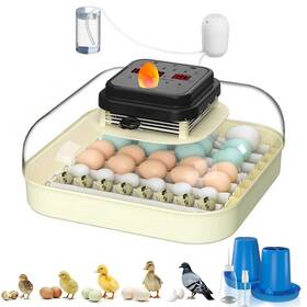 Congcongdz-35 Coinceptus 35 Eggs Incubators For Hatching Egg Incubator With Automatic
