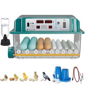 Congcongdz-64 Coinceptus 64 Egg Incubators For Hatching Eggs Incubator With Automatic Turning And