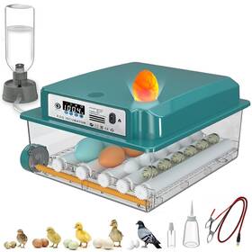 Jl16 Coinceptus 16 Eggs Incubators For Hatching Egg Incubator With Automatic Turn Inch