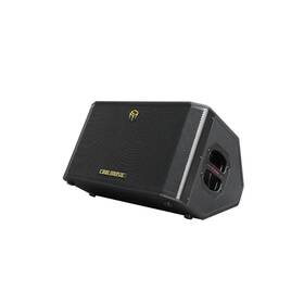 Riv001 Coolmusic 300w Professional Acoustic Guitar Amp Busking Amplifier Pa System W