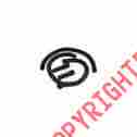 Dss25 Crushproof 2-1 2 Dual Service Station Exhaust Hose Kit New