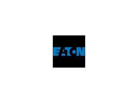 010-0028 Eaton Power Cable