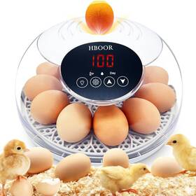 Hb-2357 Hboor Incubators For Hatching Eggs Egg Incubator With Automatic Turning And Te