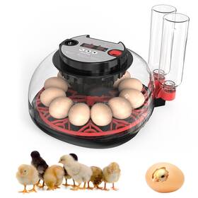 Hertmun 728161614316 Incubators For Hatching Eggs 12 Egg Incubator With Automatic Turning And