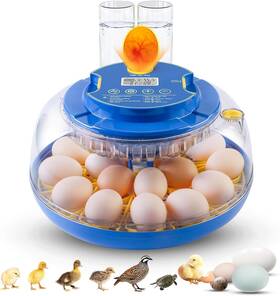 Hq-incubator-18-bl Hx Heclx Incubator For Chicken Eggs 18 Smart With Automatic Egg Turning