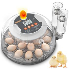 Cw-fd18gy Innvello 18 Egg Automatic Incubator For Hatching Eggs Chicken With