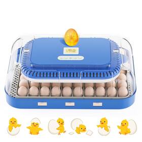 Cw-b-012-1 Jgchonwen 70 Egg Incubator For Hatching Eggs Intelligent With High Hatch Rat