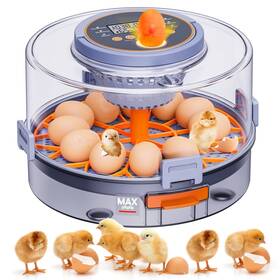 Fdq1 Masterfun Automatic Egg Incubators For Hatching Eggs 12 Incubator With E