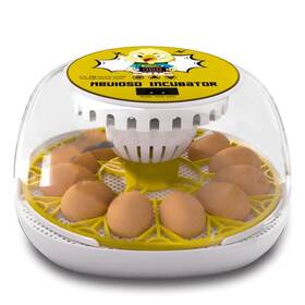 Fdq-12 Meuiosd Egg Incubator 12-24 Eggs Automatic Intelligent Incubators For Hatching Eggsʌ