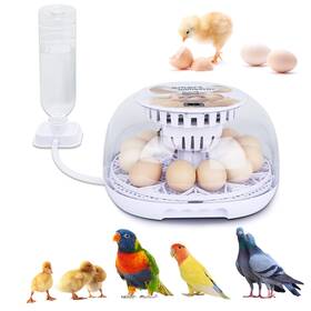 Dl-0125 Norjin Egg Incubator 12 Eggs For Hatching Digital