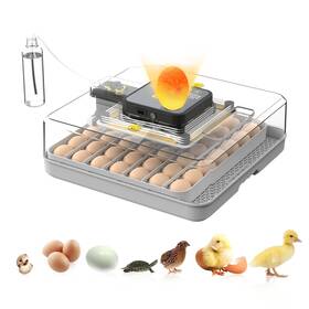48h-pro Sylvansparkkitchen 48 Egg Incubator For Hatching Eggs Auto Turning Digital Temp/humidity Display