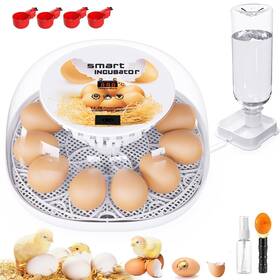 Fhq-1 Viowey Incubators For Hatching Eggs 12 Egg Incubator With Automatic Turning And Tem