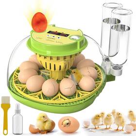Yseib-gr-ca0009 Yorenson Incubators For Hatching Eggs 12 Egg Incubator With Automatic Turning And