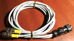 Turck, Pc Of RK-4.5T-2, Pole M12 Female At One End W/206429-1 Te Connectivit. Fixed Price $65.00.
