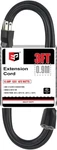 Ep Ft Extension Cord - 12/3 Sjtw Heavy Duty Black Cable With Prong. Fixed Price $14.29.
