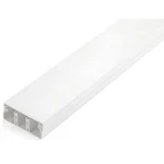 Startech Solid Cable Management Raceway With Cover, 2"(50MM) X 3/4"(20MM). Fixed Price $33.11.