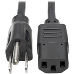 Tripp Lite P006-004 4FT (48") Standard Computer Pc Power Cord Black. Fixed Price $12.88.