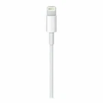 Apple ME291AM/A Lightning - Usb Cable 1.64 Ft. Fixed Price $10.00.