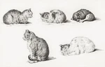 13102.WALL Decor Poster.room Home Kitchen Design.jean Bernard Drawing Art.cats. Fixed Price $60.00.