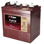 Trojan T-875 Volt Golf Cart Battery Rv Marine Solar Deep Cycle. Fixed Price $375.56.