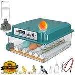 Coinceptus Incubator 16 Eggs Automatic Turning Temperature Control. Fixed Price $74.99.
