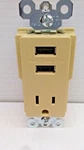 Lot Of Pass Seymour Ivory Combo 31A 15A Outlet TM8USBICC6 Free Shipping. Fixed Price $32.48.