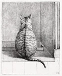 13105.WALL Decor Poster.room Home Design.jean Bernard Drawing Art.cat.kitten. Fixed Price $18.00.