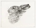 13104.WALL Decor Poster.room Home Design.jean Bernard Drawing Art.rabbit.bunny. Fixed Price $19.00.